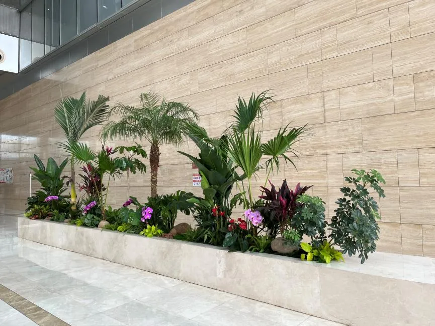 花木租赁要实惠？宁波杭州湾快安排！